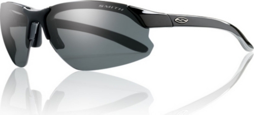 Smith Parallel D Max / Polarized Gray