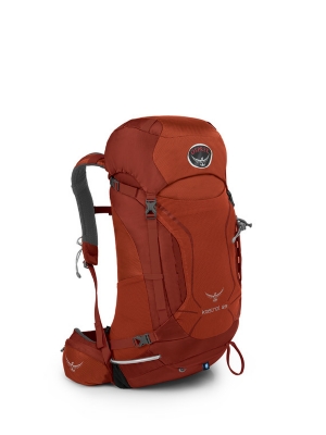 Osprey Kestrel 28 Pack