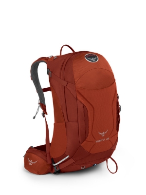 Osprey Kestrel 32 Pack