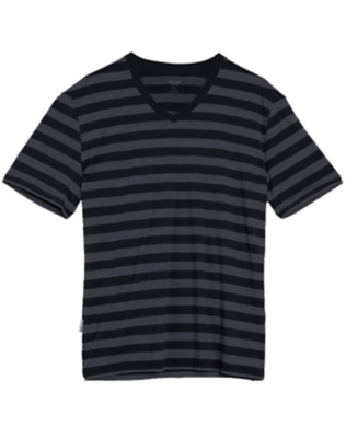 Icebreaker Mens Tech Lite SS V Stripe
