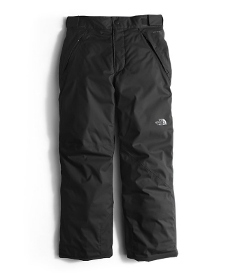 The North Face Boys Freedom Insulated Pants