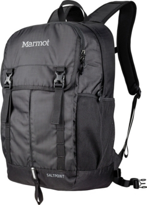 Marmot Salt Point