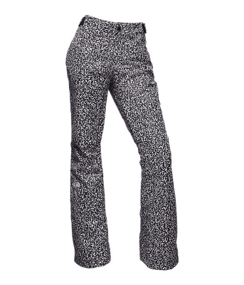 The North Face Womens Aboutaday Pant