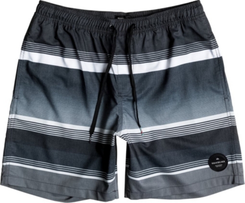 Quiksilver Mens Swell Vision Shorts