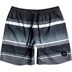 Quiksilver Mens Swell Vision Shorts