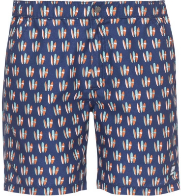 Tom and Teddy Mens Surfboards Swim Trunk