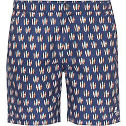 Tom and Teddy Mens Surfboards Swim Trunk