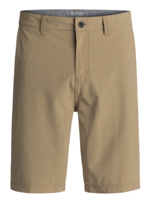 Quiksilver Mens Solid Amphibian Shorts