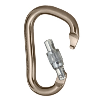 Black Diamond RockLock Screw Carabiner