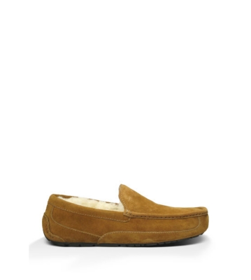 UGG(R) Australia Mens Ascot