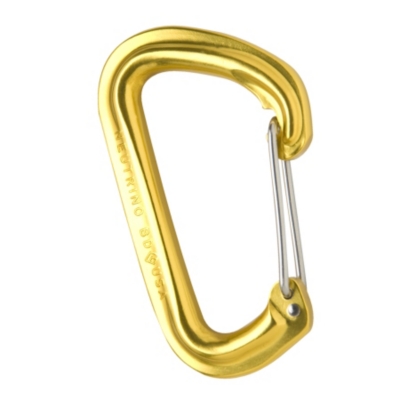 Black Diamond Neutrino Carabiner