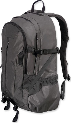 Patagonia Refugio Pack 28L