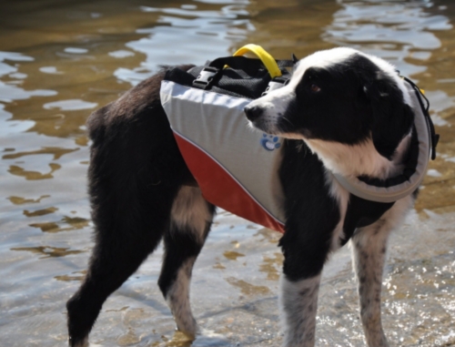 MTI Under Dog PFD