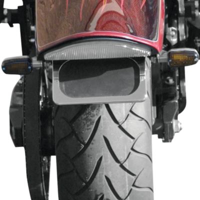 BARON LICENSE MOUNT WITH LED FRAME - Baron Custom Accessories Parts & Gear