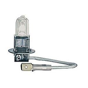 DRAG SPECIALTIES SKULL HEAD FRONT FENDER REPLACEMENT BULB - Cruiser Bulbs
