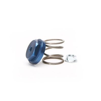 FASST CO REAR BRAKE RETURN SPRING - BLUE - 