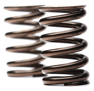 FACTION MX VALVE SPRING KIT