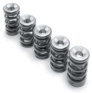 HOTCAMS VALVE SPRING KIT - Utility ATV Valve Train And Accessories