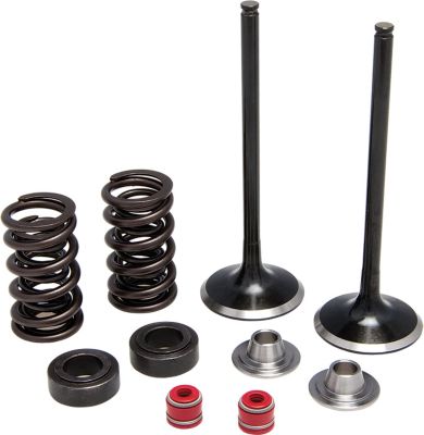  Kibblewhite Stainless Steel Intake Valve Kit