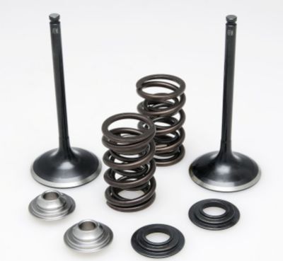 KIBBLEWHITE STAINLESS STEEL INTAKE VALVE KIT