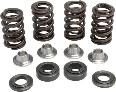 KIBBLEWHITE VALVE SPRING KIT - Utility ATV Valve Train And Accessories