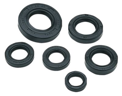 MOOSE OIL SEAL SET - 