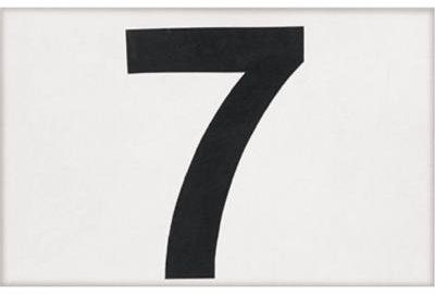 PRO ARMOR NUMBER PLATE - MX PRO BUMPER - 