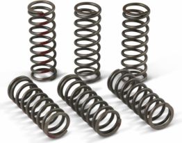  Pro Circuit Clutch Springs
