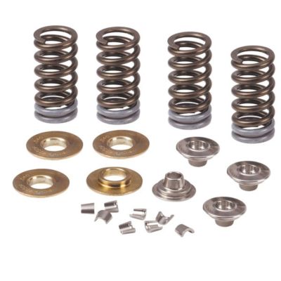 PRO CIRCUIT VALVE SPRING KIT - 