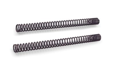 PROGRESSIVE FORK SPRING KIT - Cruiser Fork Accessories