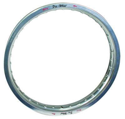 PRO WHEEL REAR RIM - 12 SILVER - Dirt Bike Rims