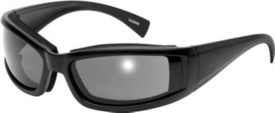 RIVER ROAD STRAY CAT SUNGLASSES