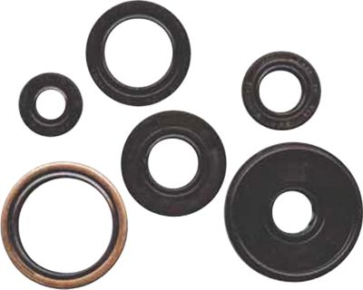 WINDEROSA ENGINE OIL SEAL KIT - 