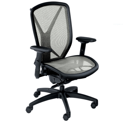 Ergonomic Chair with Mesh Seat and Back