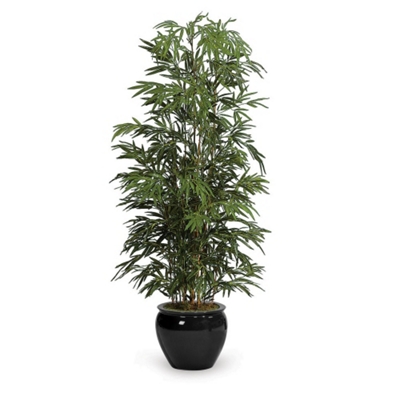 7' Bamboo Tree, 91672