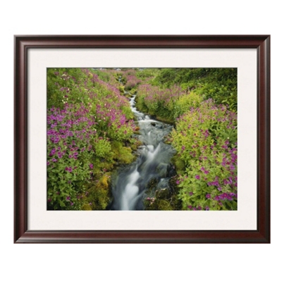 33"W x 27"H Pink Monkey Flowers Print, 85716