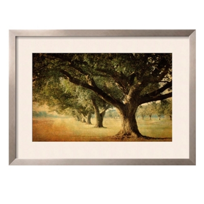 Island Oak Print - 43" x 32", 91864