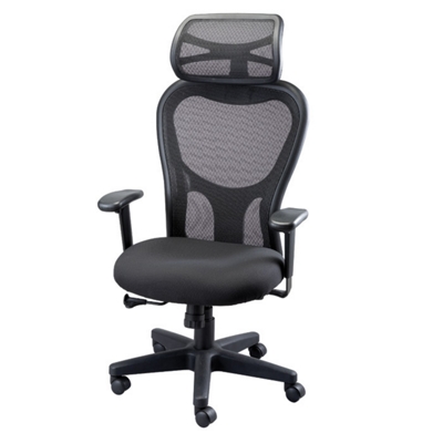 Apollo Executive Mesh Chair with Headrest, 50777