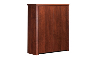 Two Door Cabinet for Embassy File