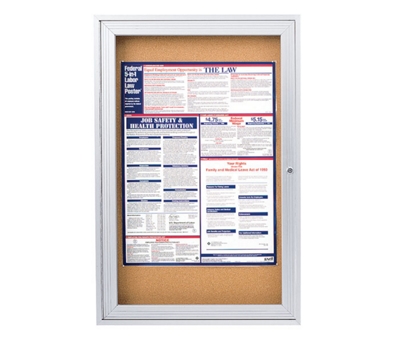 Aluminum Frame Corkboard - 18 x 24