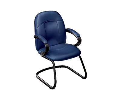 Guest Chair in Standard Leather, 56461