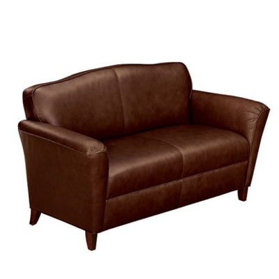 Contemporary Loveseat in Leather, 53790