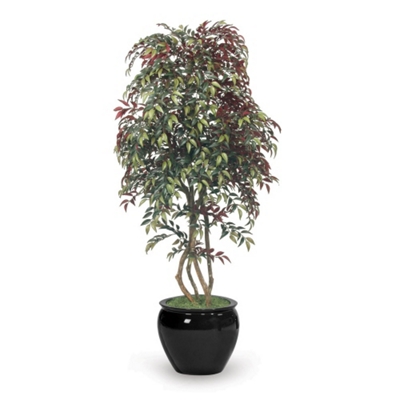 6-1/2' Burgundy Smilax, 91671