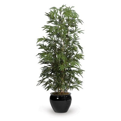 7' Bamboo Tree, 91672