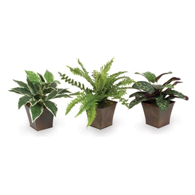 Assorted Foliage Set of 3, 91676