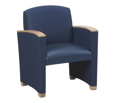 Crypton Fabric Guest Chair with Arms