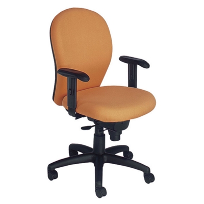 Mid Back Ergonomic Chair