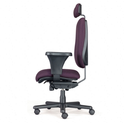 Profile of Chair and Headrest