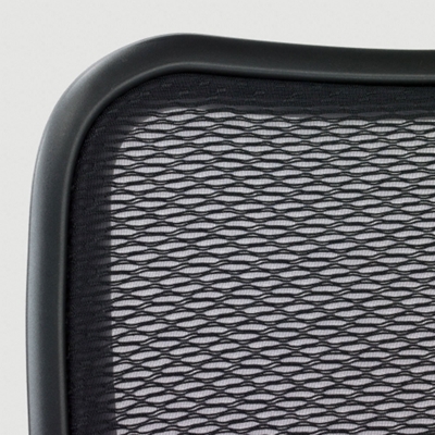Close-up of Mesh Back