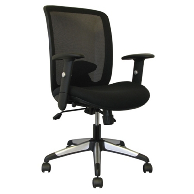 Mesh Back Chair with Titanium Accents, CD02484